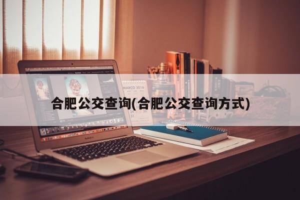 合肥公交查询(合肥公交查询方式)