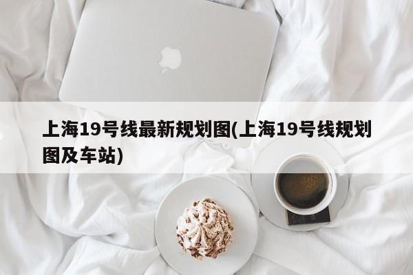 上海19号线最新规划图(上海19号线规划图及车站)