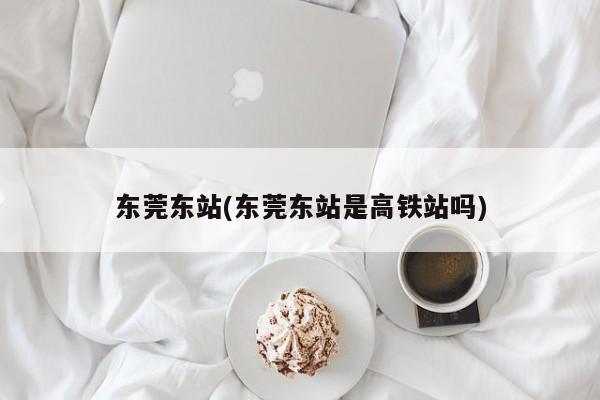 东莞东站(东莞东站是高铁站吗)