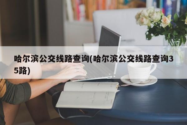 哈尔滨公交线路查询(哈尔滨公交线路查询35路)