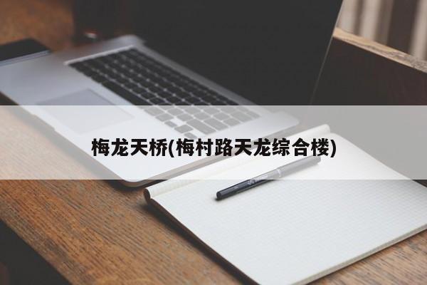 梅龙天桥(梅村路天龙综合楼)