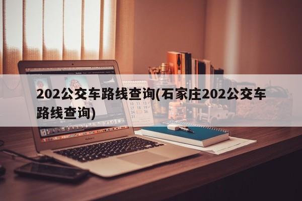 202公交车路线查询(石家庄202公交车路线查询)