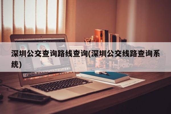 深圳公交查询路线查询(深圳公交线路查询系统)